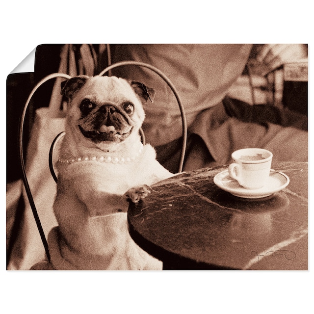 Artland Wandbild »Kaffee Mops«, Haustiere, (1 St.), als Leinwandbild,  Poster, Wandaufkleber in verschied. Größen kaufen bei OTTO