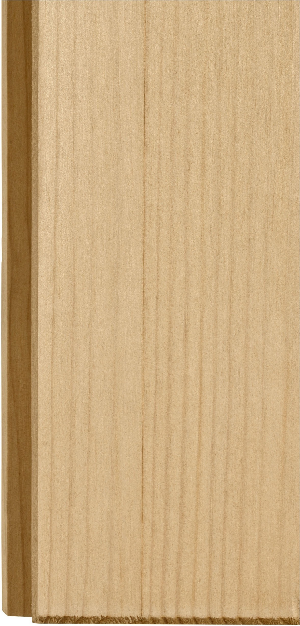 Home affaire Hängeschrank »Alby« Breite 100 cm , 2 Türen