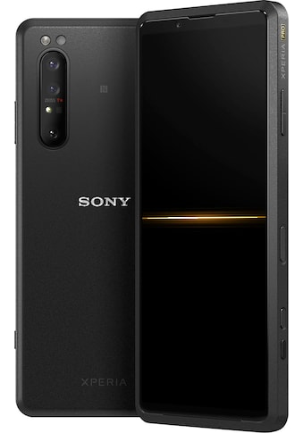 Sony Smartphone »Xperia Pro« kaufen