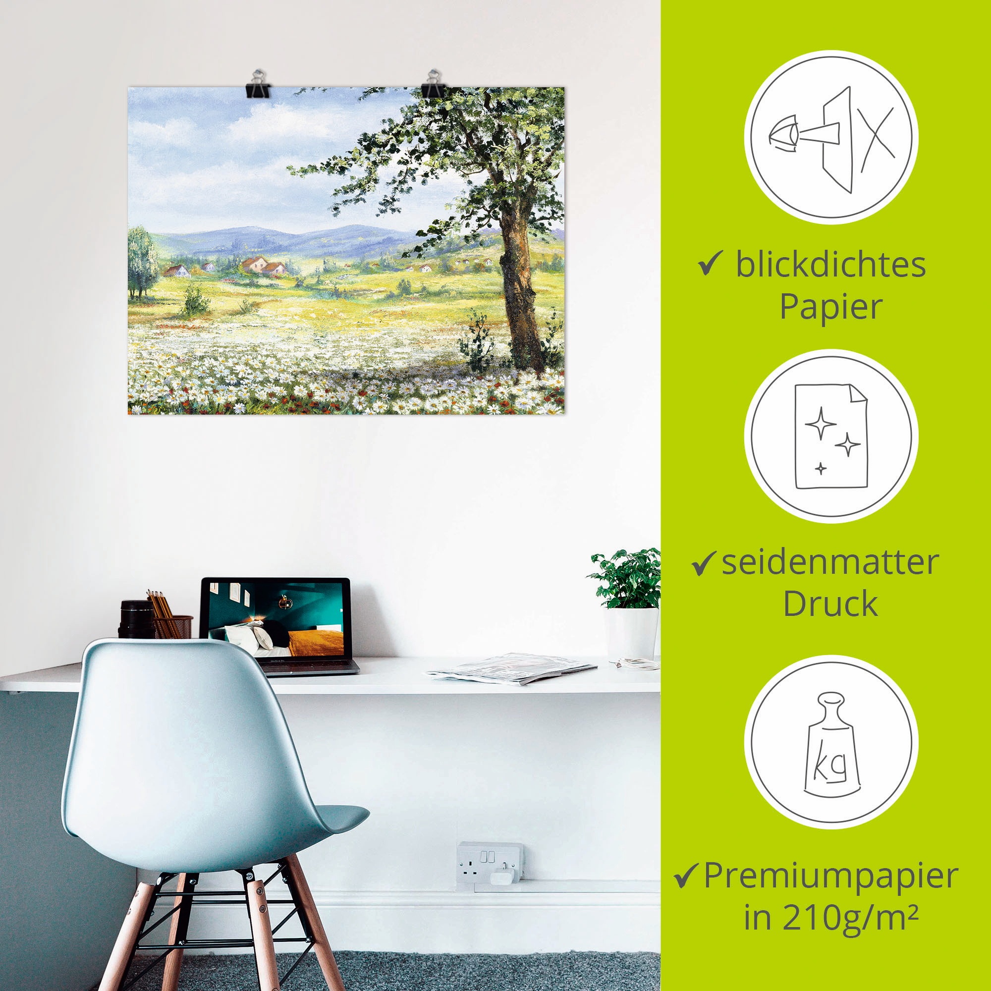 Artland Wandbild »Margeritenfeld«, Wiesen & Bäume, (1 St.), als Poster, Wandaufkleber in verschied. Größen