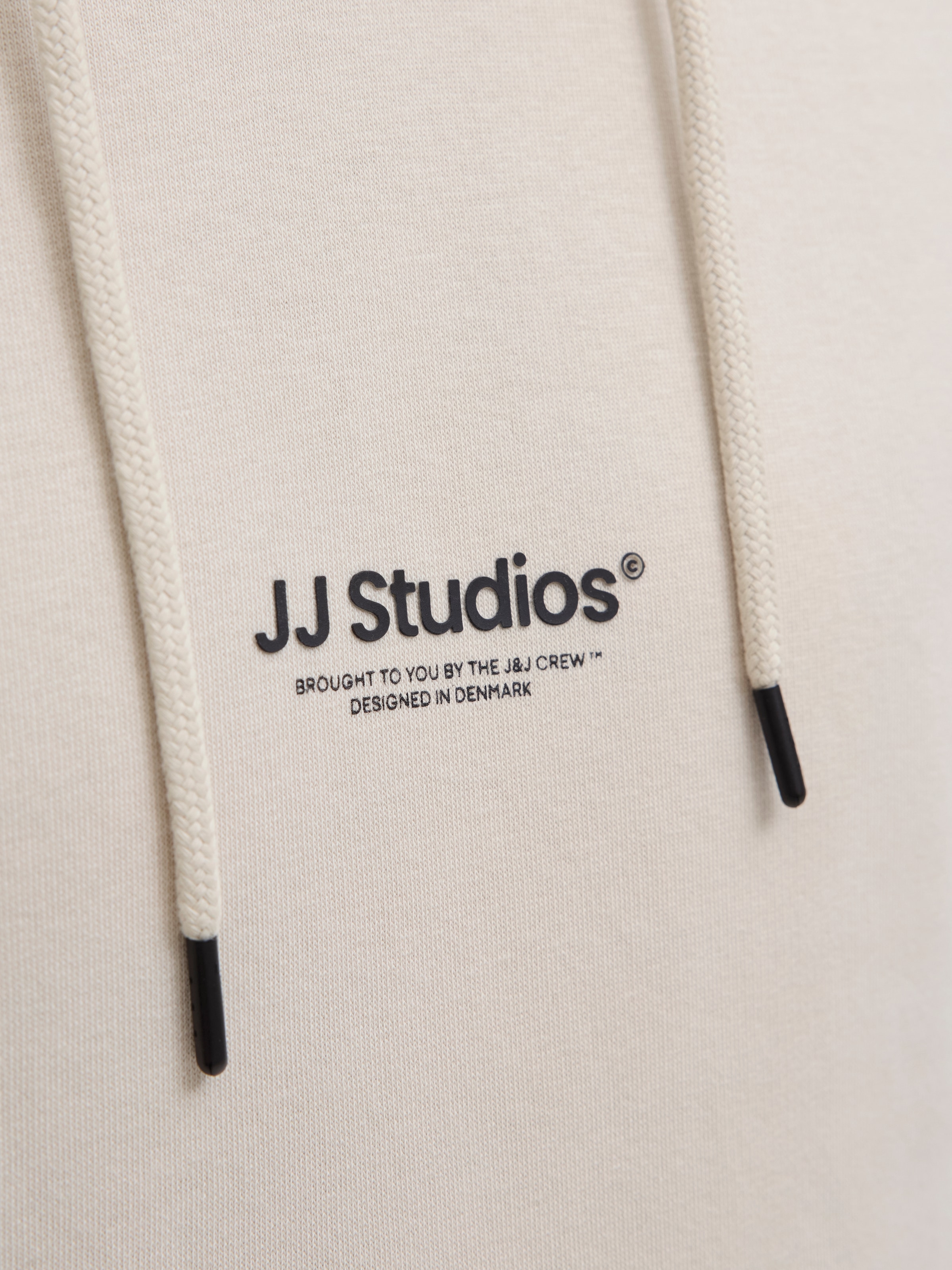 Jack & Jones PlusSize Kapuzensweatshirt »JJESOHO SWEAT HOOD NOOS PLS«, mit Logobranding