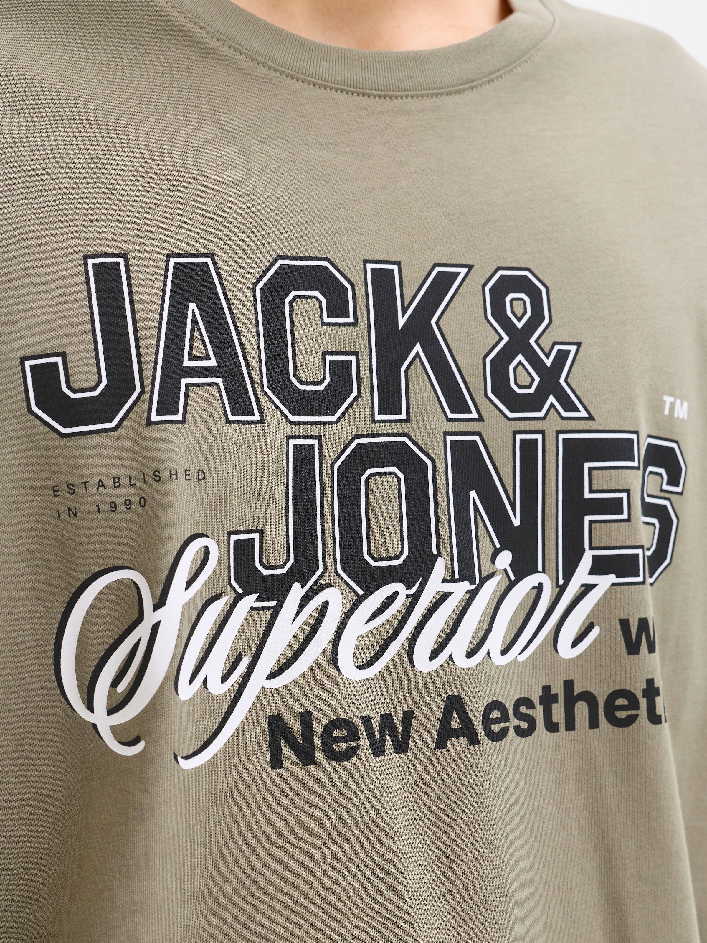 Jack & Jones PlusSize Rundhalsshirt »JJELOGO TEE SS O-NECK 2 COL SS26 SN PLS« mit auffälligem Print