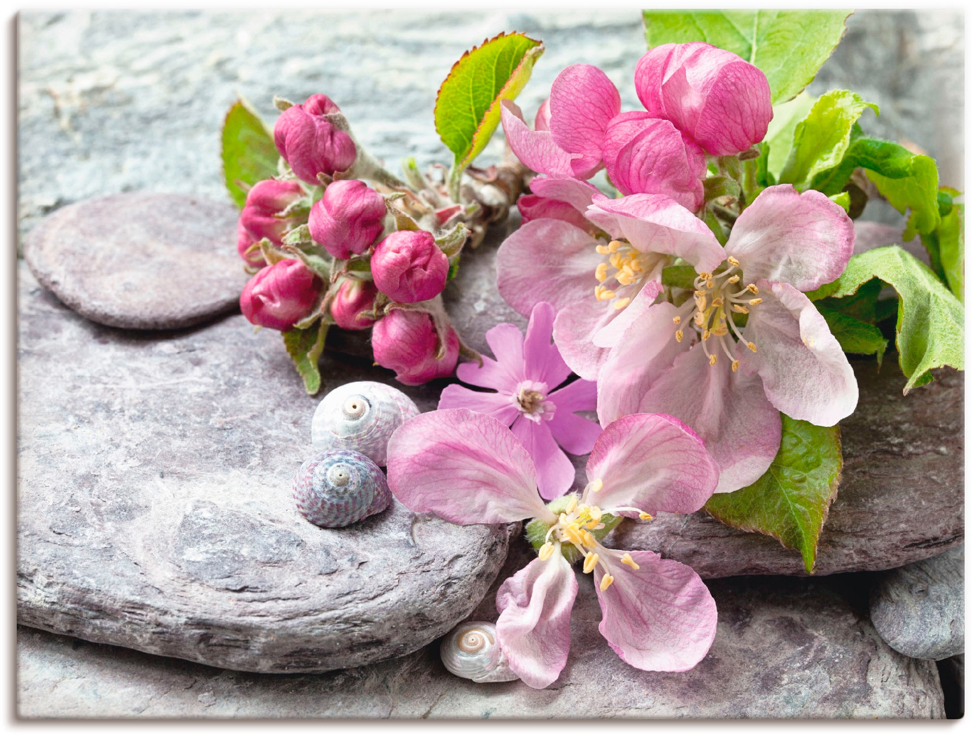St.), Wandaufkleber Artland Wandbild Online Shop Blumen, OTTO im in verschied. »Apfelblüten«, Leinwandbild, Größen als (1 Poster,