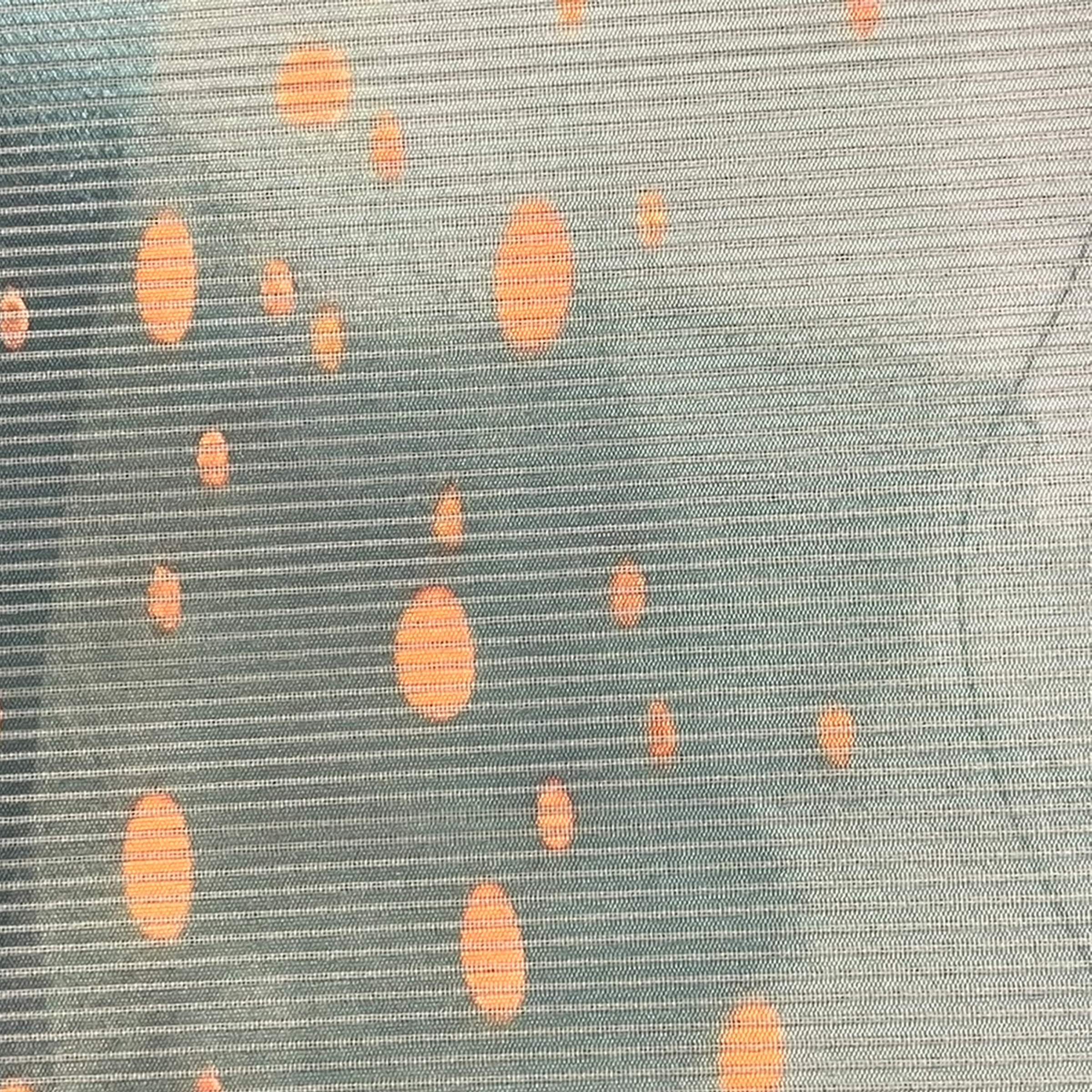 Vision S Schiebegardine »AQUA« Paneelwagen 1 Stk. tlg. digital bedruckt