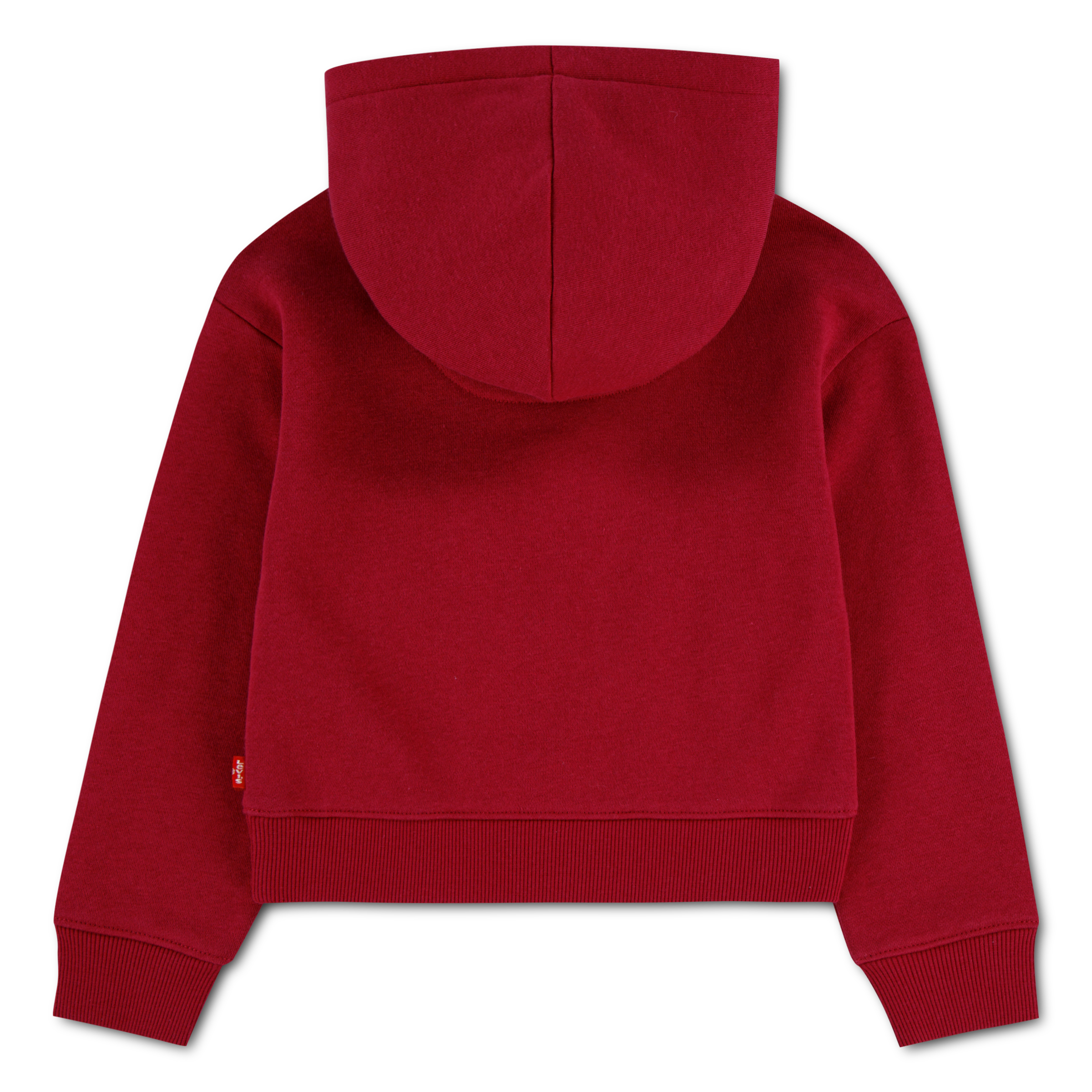 Levi's® Kids Kapuzensweatshirt »LVG MEET AND GREET SEASONAL HO«, mit floralem Logo-Print in Kontrast - for Girls
