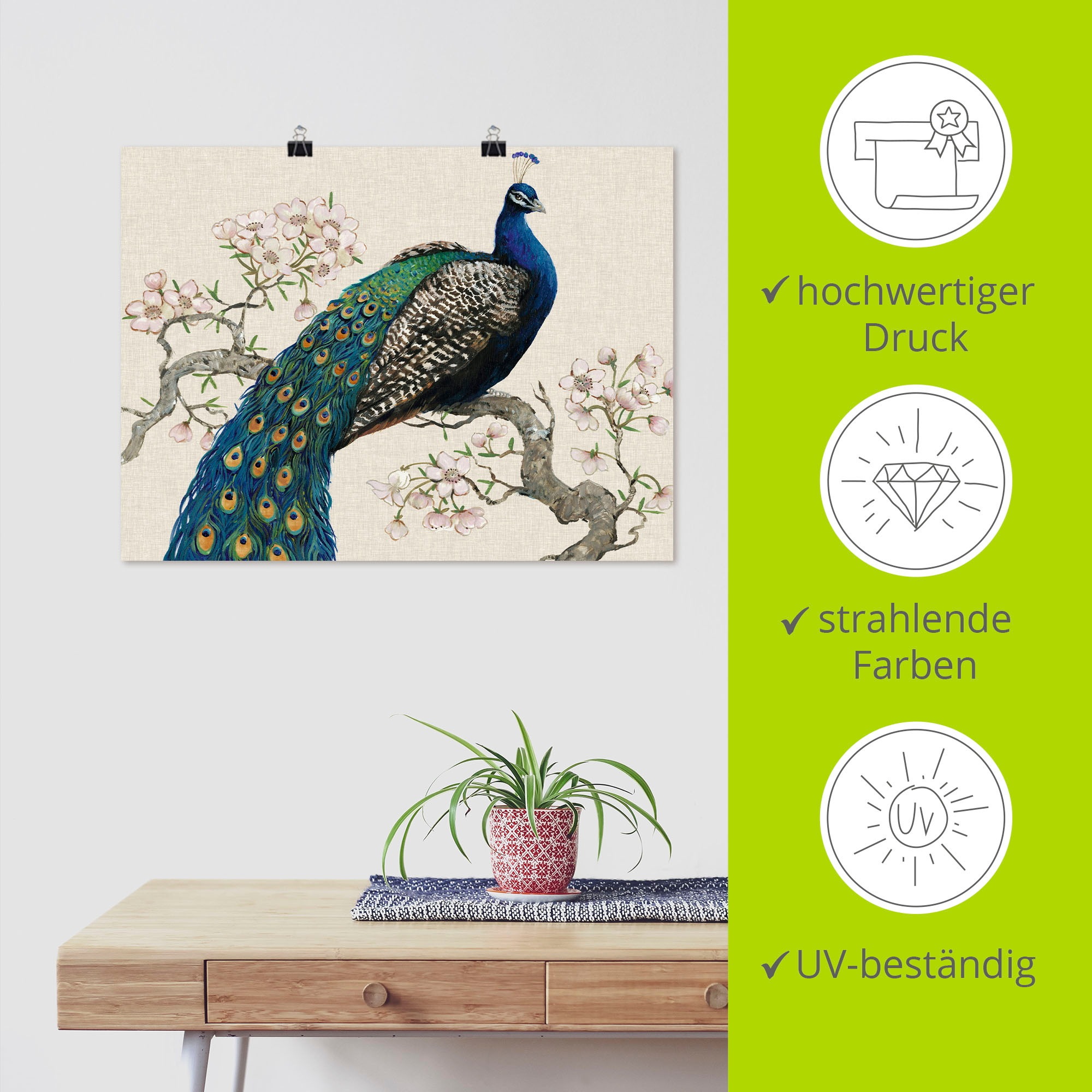 Artland Wandbild »Pfau & Blüten I«, Vögel, (1 St.), als Alubild, Outdoorbild, Leinwandbild, Poster, Wandaufkleber