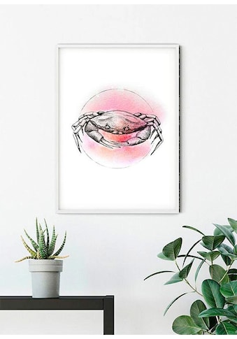 Poster »Crab Watercolor«, Tiere, (1 St.), Kinderzimmer, Schlafzimmer, Wohnzimmer