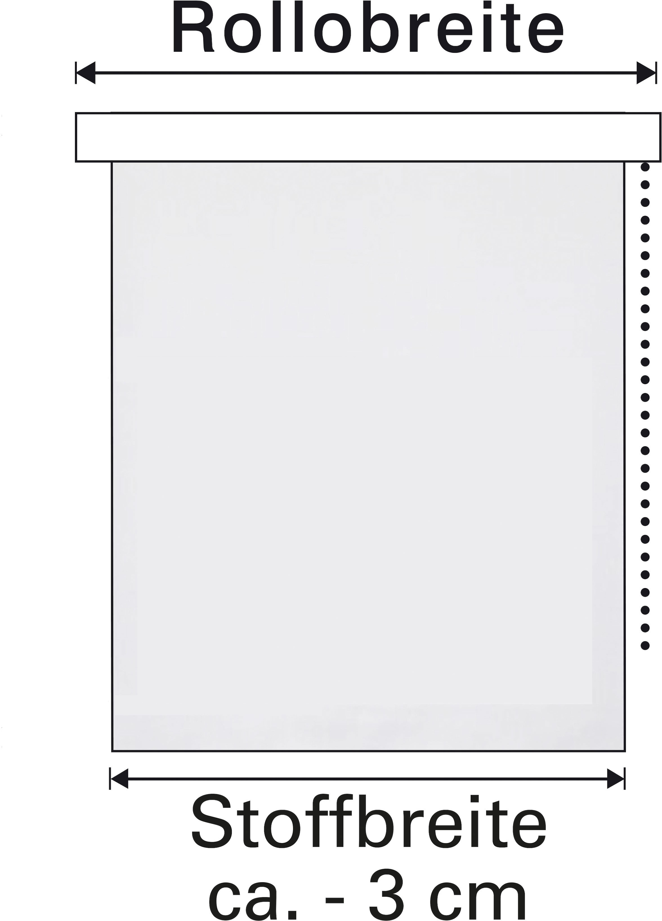 GARDINIA Seitenzugrollo »Easyfix Rollo Digiprint«, blickdicht, Sichtschutz, ohne Bohren, freihängend, mit Weidenkätzchen Motiv