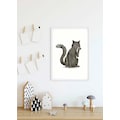 Komar Poster »Cute Animal Cat«, Tiere, Höhe: 70cm