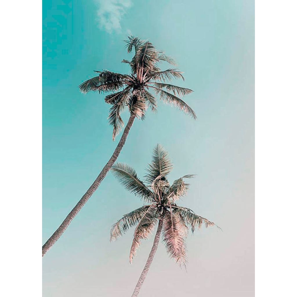 Komar Poster »Miami Palms«, Pflanzen-Blätter, Höhe: 70cm