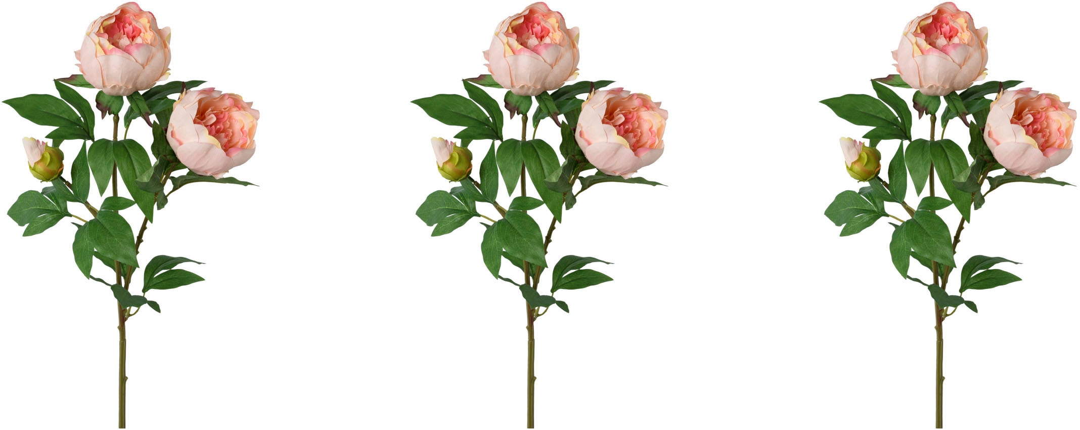 Creativ green Kunstblume »Peonienzweig«