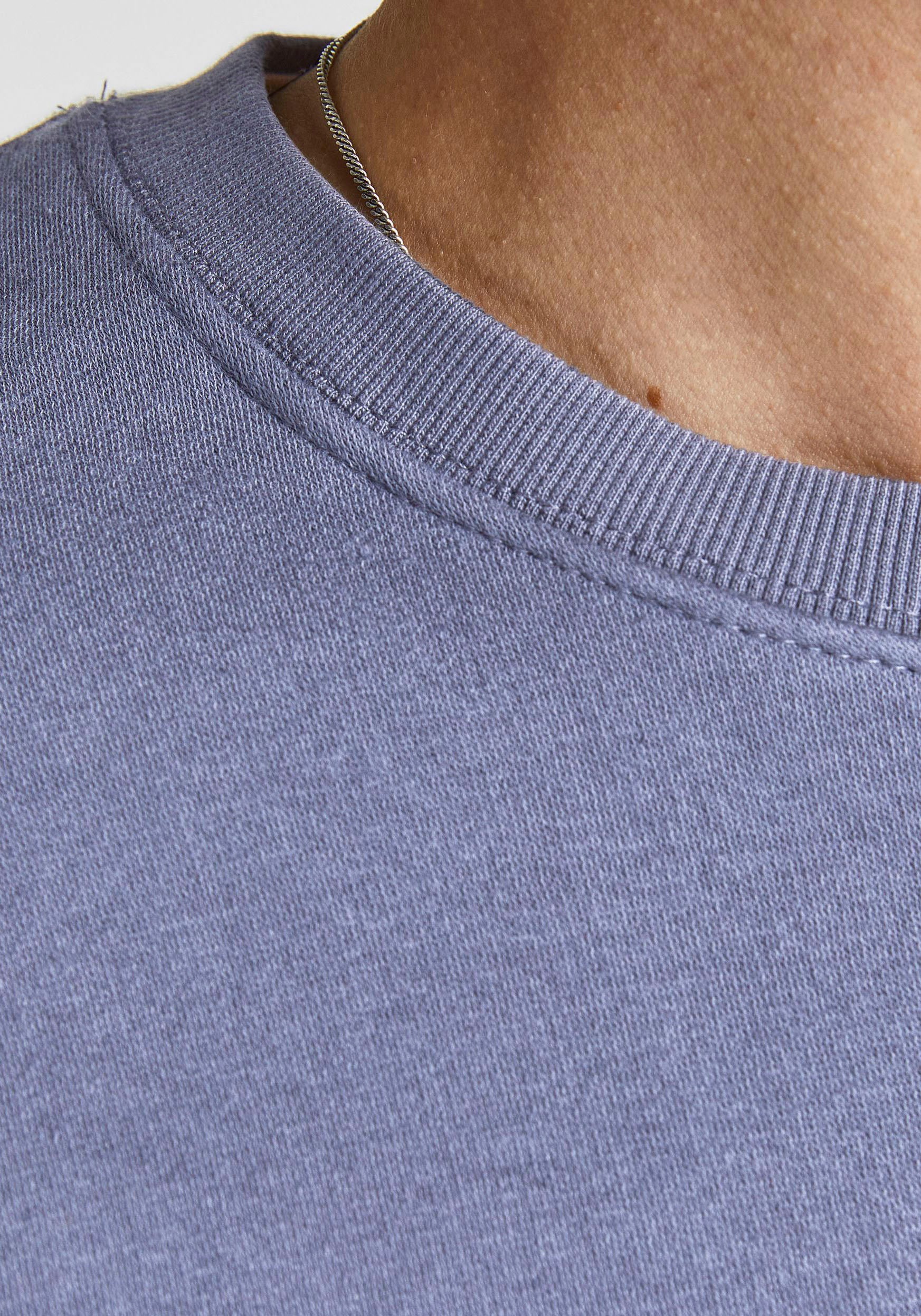 Jack & Jones Sweatshirt »JJESTAR BASIC SWEAT CREW NECK NOOS«