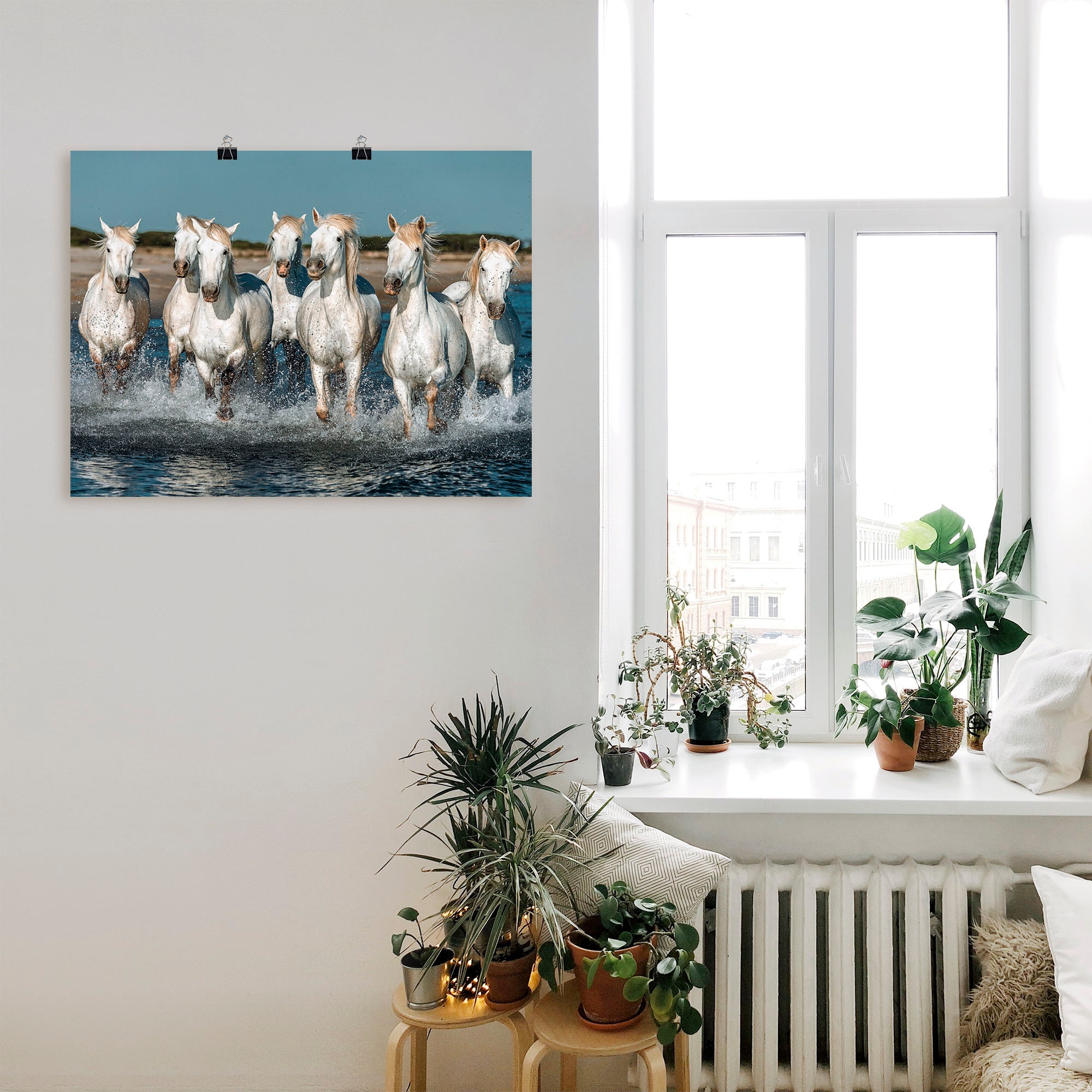 Artland Wandbild »Camargue Pferde galoppieren am Strand«, Haustiere, (1 St.), als Alubild, Outdoorbild, Leinwandbild, Poster, Wandaufkleber