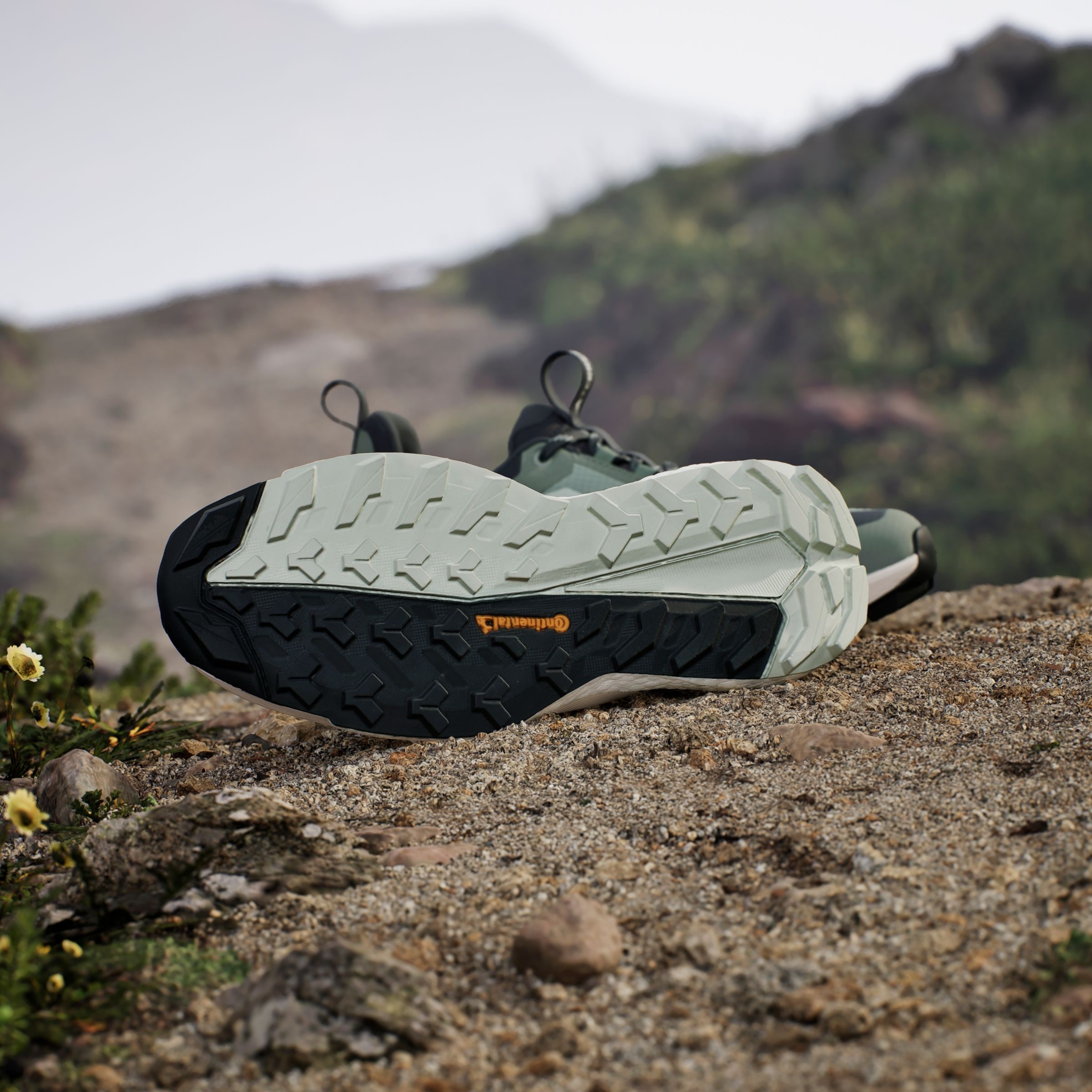 adidas TERREX Wanderschuh »TERREX FREE HIKER 2.0 LOW GORE-TEX«, wasserdicht