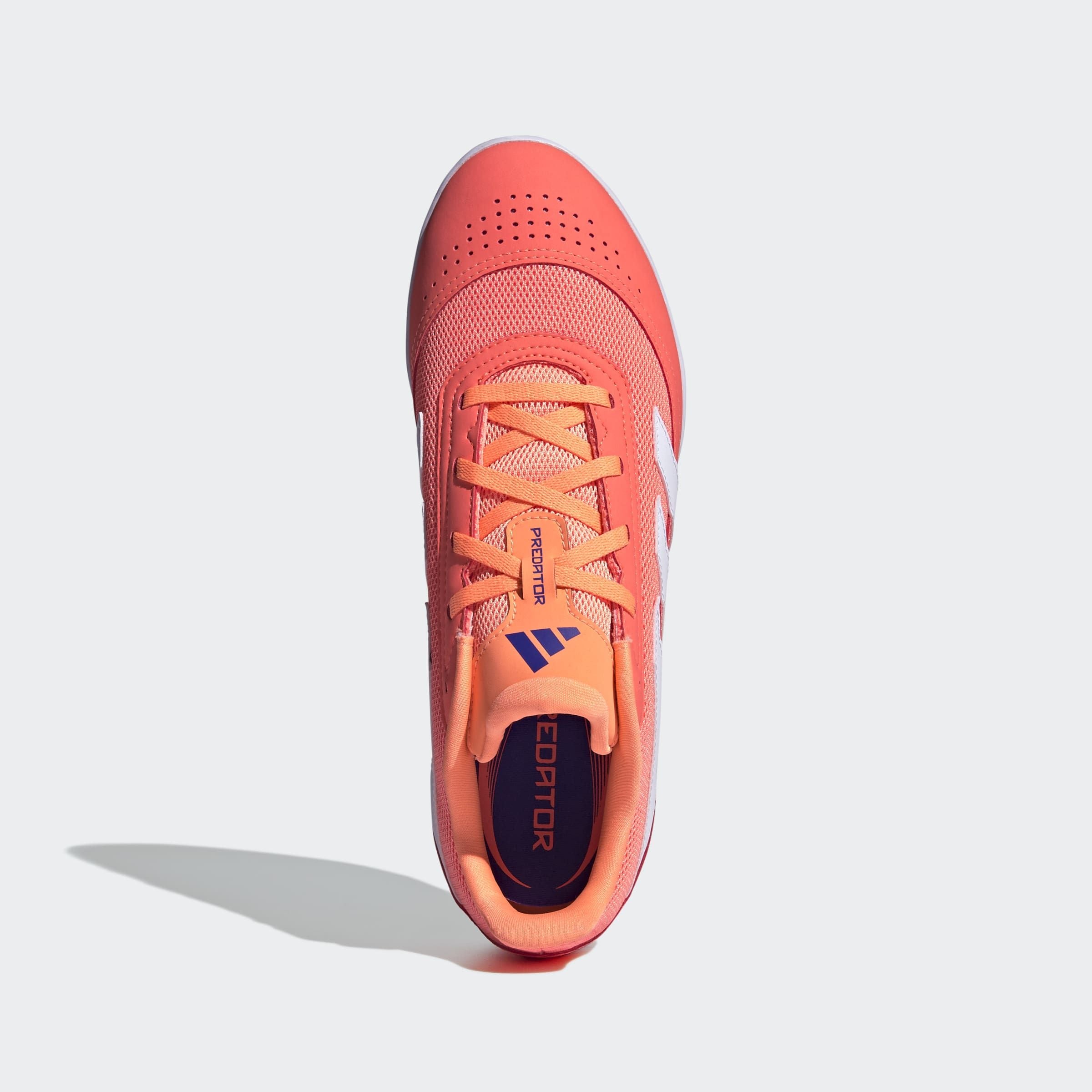 adidas Performance Fußballschuh »PREDATOR CLUB INDOOR SALA E«, geeignet als Hallenschuhe