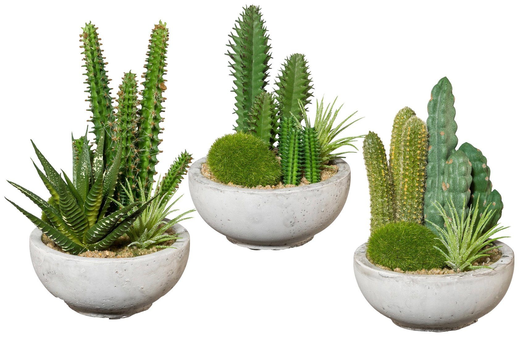 Creativ green Kunstpflanze »Kakteen-Arrangement«, im Zementtopf
