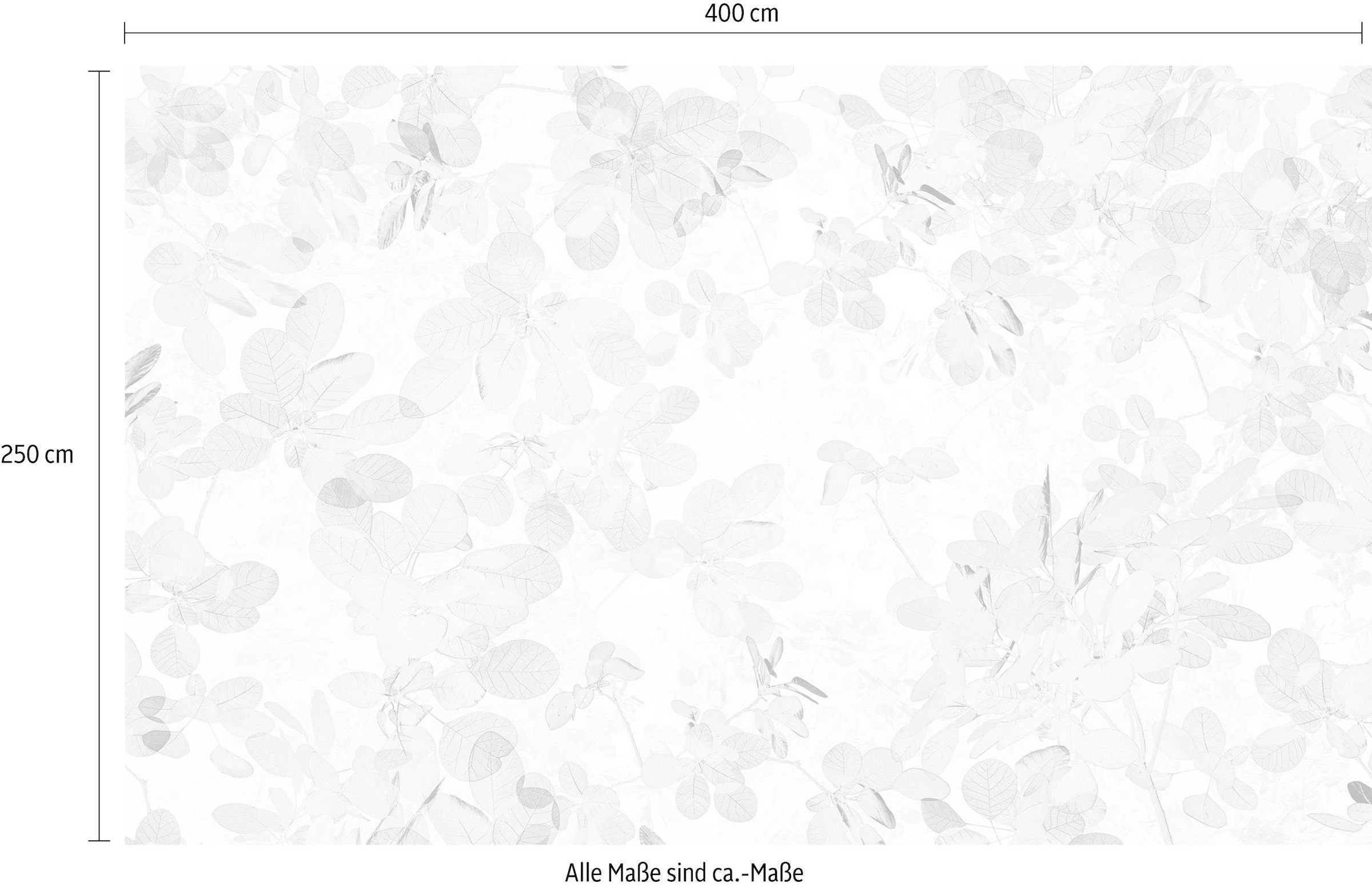 Komar Vliestapete »Digitaldruck Vlies -  Sheer - Größe 400 x 250 cm« bedruckt glatt Wohnzimmer, Schlafzimmer