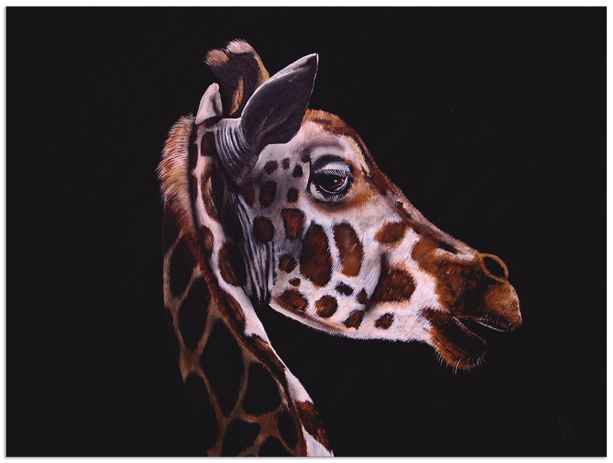 Artland Wandbild »Giraffe«, Wildtiere, (1 St.), als Alubild, Leinwandbild,  Wandaufkleber oder Poster in versch. Größen bei OTTO | Kunstdrucke