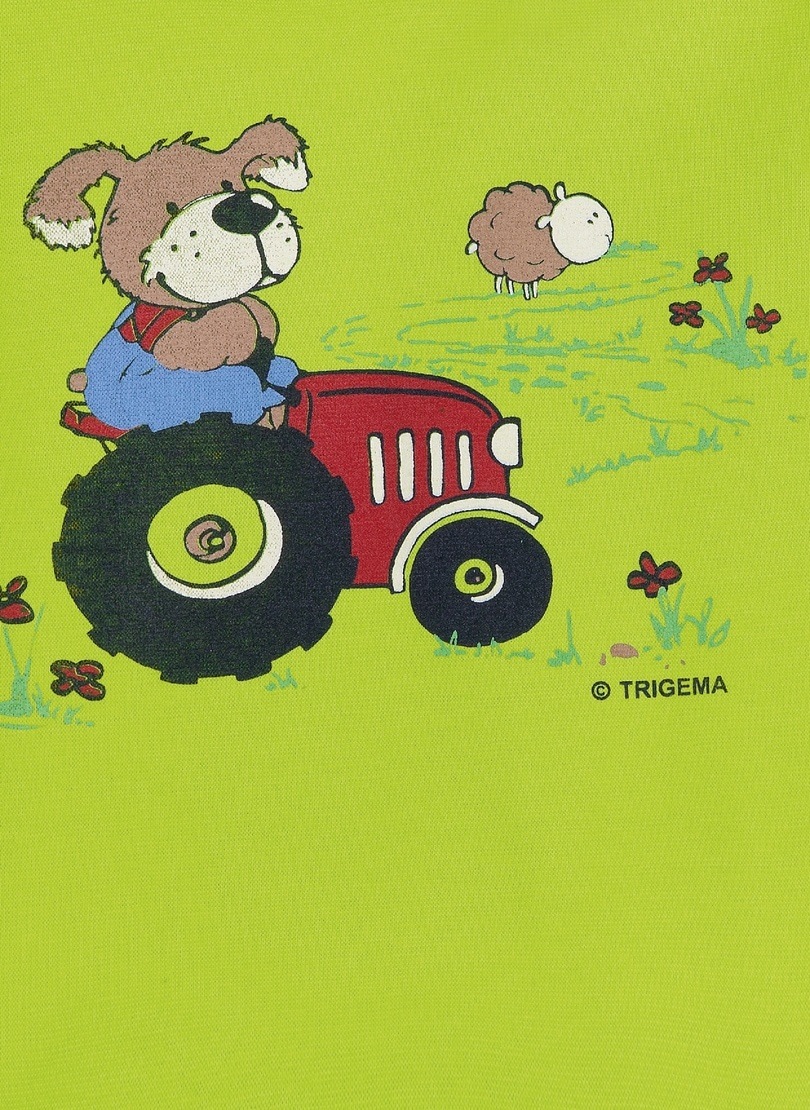 Trigema T-Shirt »TRIGEMA Langarmshirt mit Bär«, (1 tlg.)