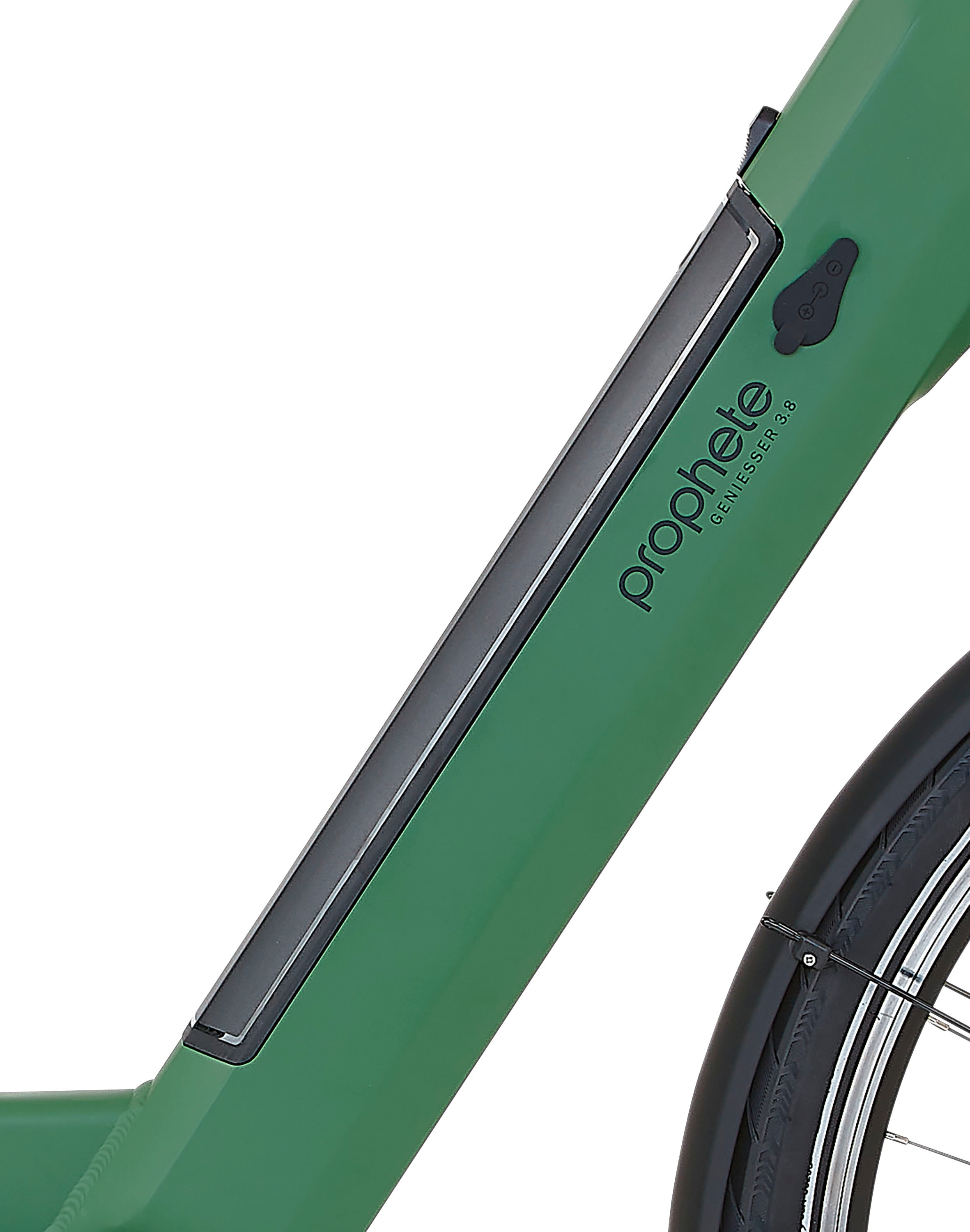 Prophete E-Bike »Geniesser 3.8«, 7 Gang, Shimano, Nexus, Mittelmotor 250 W