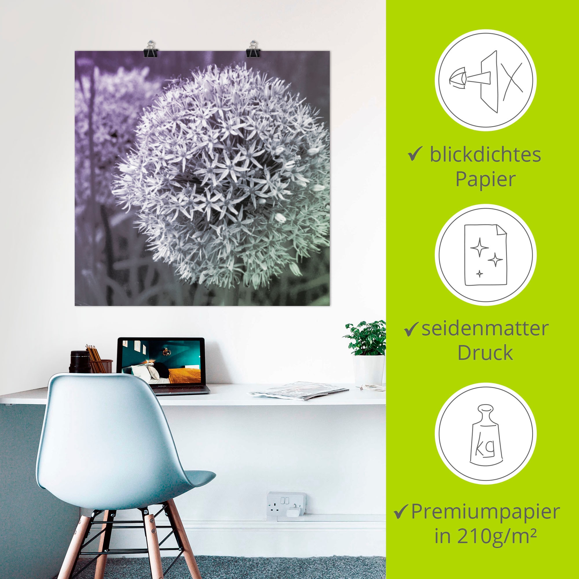 Artland Wandbild »Lila Sensation I«, Blumen, (1 St.), als Alubild, Outdoorbild, Leinwandbild, Poster, Wandaufkleber