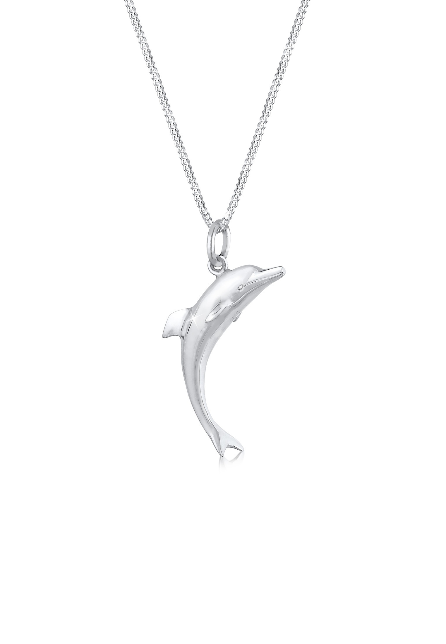 Elli Kette mit Anhänger »Halskette Anhänger Delphin 925 Sterling Silber«