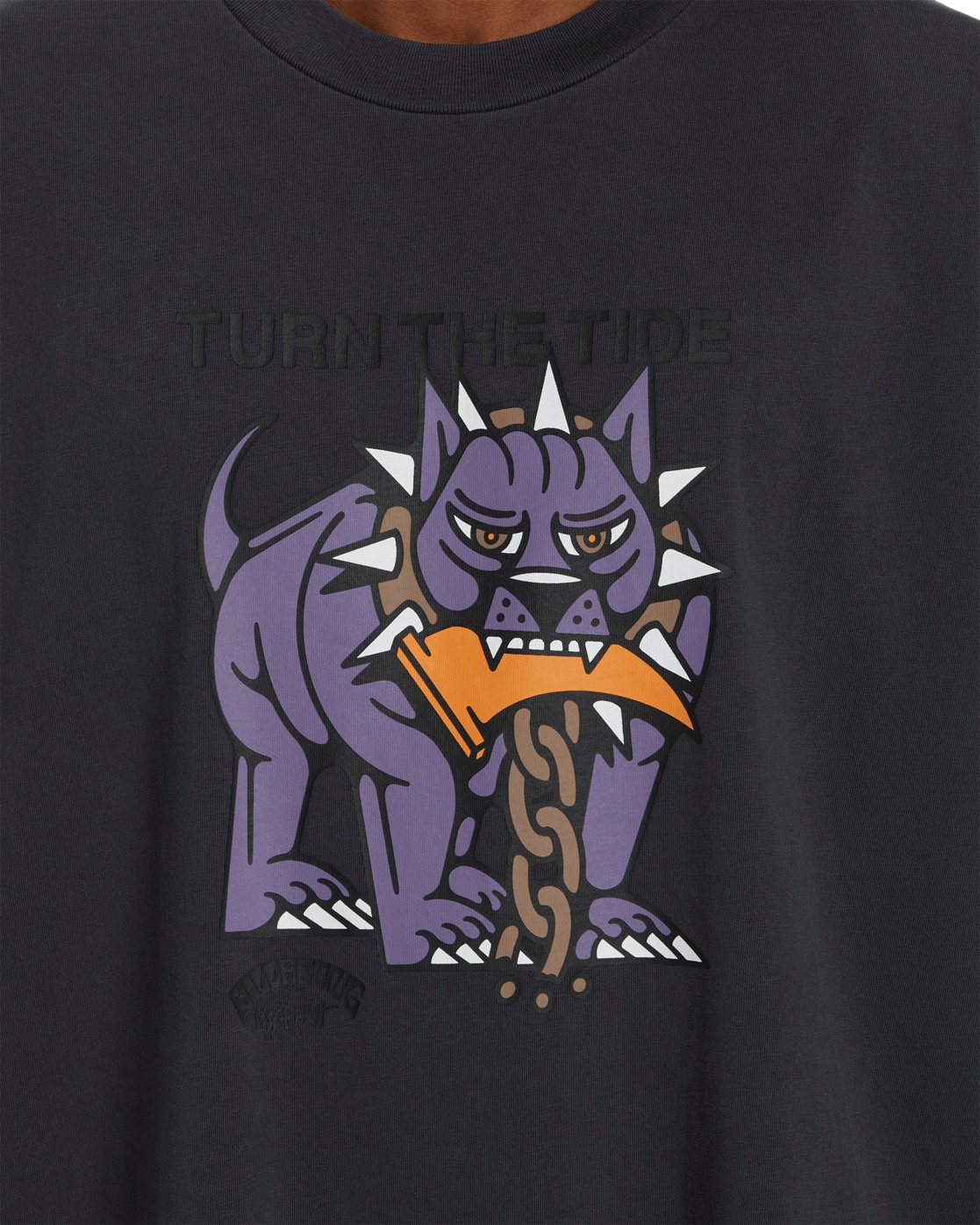 Billabong T-Shirt »DJ Javier Dog Days«