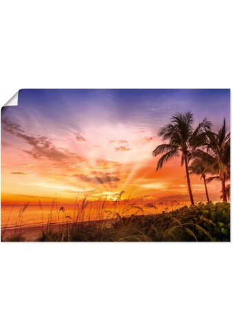 •	Artland Wandbild »BONITA BEACH Malerischer Sonnenuntergang«, (1 St.), in vielen... kaufen