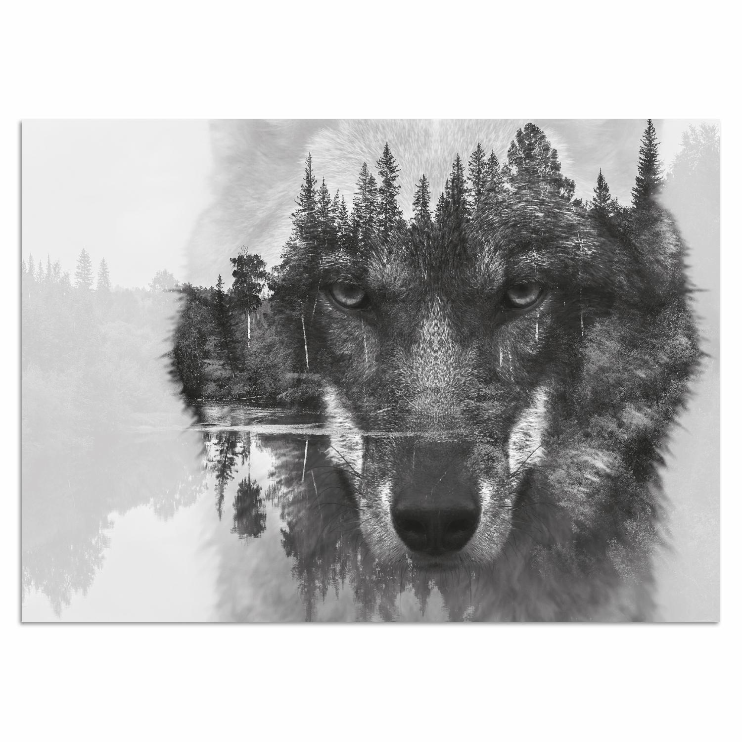 Acrylglasbild »Wolf«, Schwarz/ Weiß, Spiegelung, Wald, Kanada