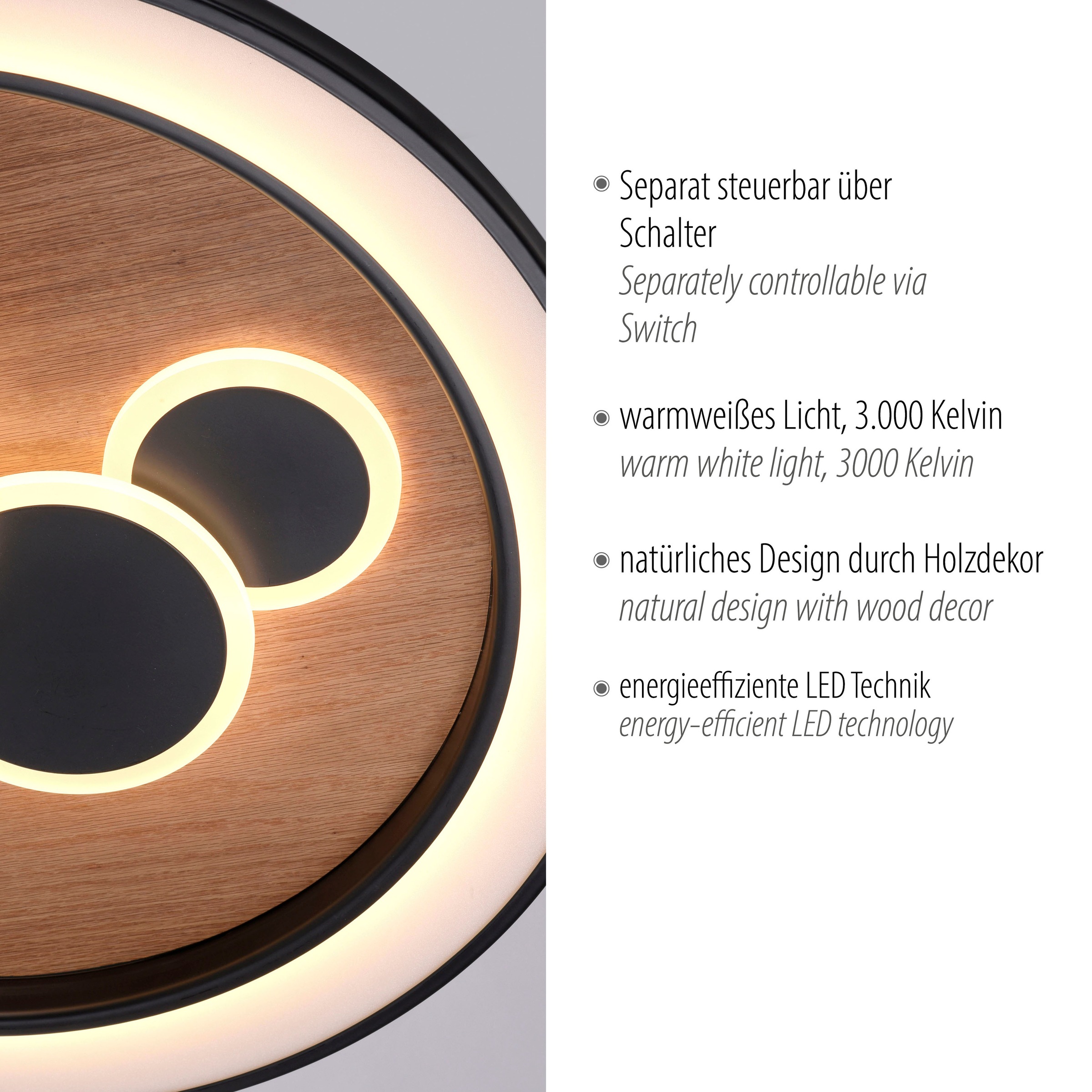 Paul Neuhaus Deckenleuchte »ELIZA«, 2 flammig, Leuchtmittel LED-Board-LED-Board | LED fest integriert-LED fest integriert, LED, separat steuerbar (Schalter)