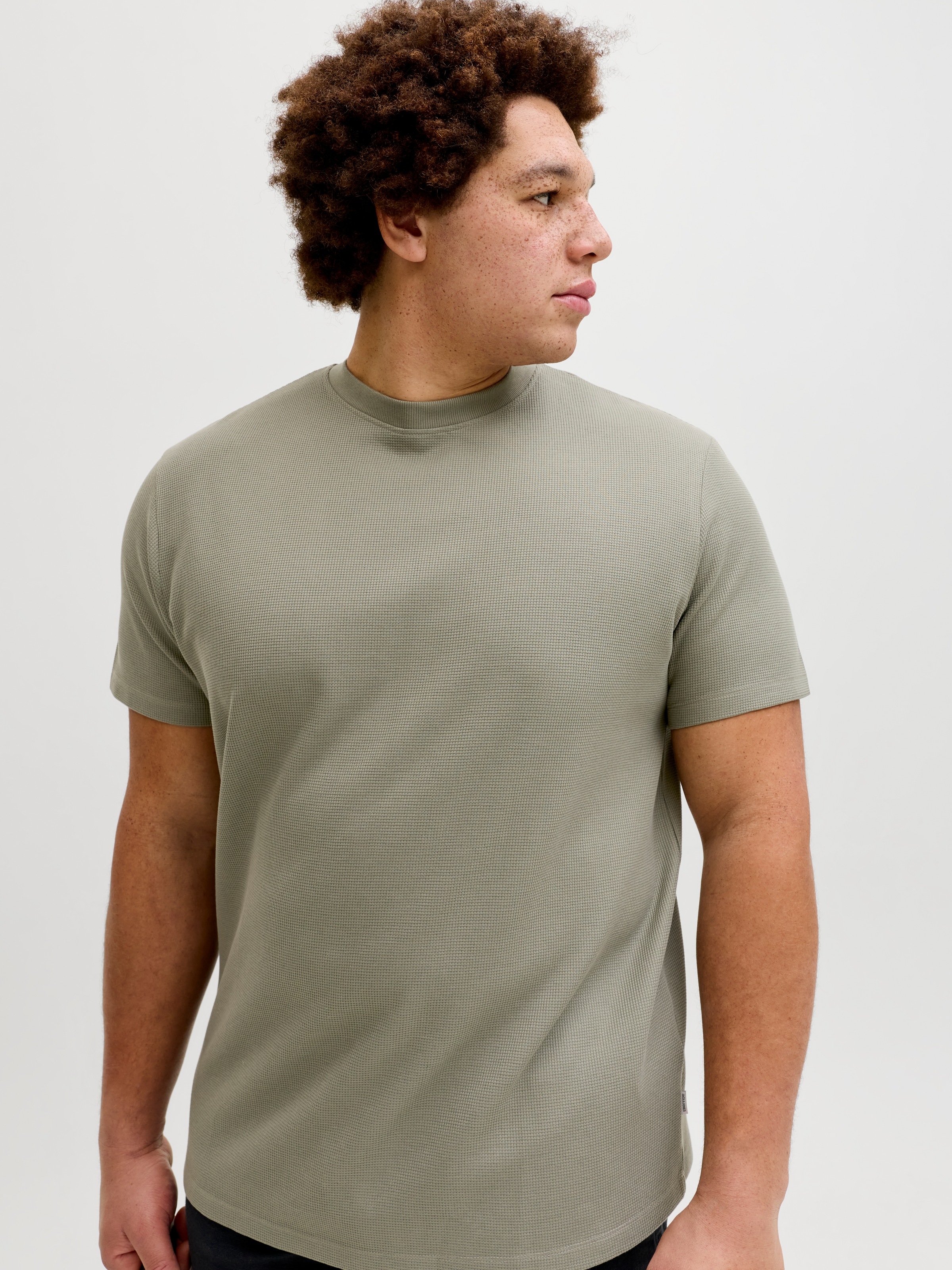Jack & Jones PlusSize T-Shirt »JJEAUSTIN TEE SS NOOS PLS« mit Rundhalsausschnitt