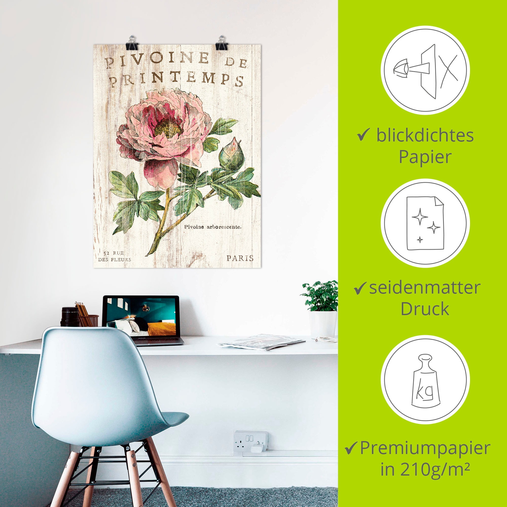 Artland Wandbild »Pfingstrose«, Blumen, (1 St.), als Leinwandbild, Poster, Wandaufkleber in verschied. Größen