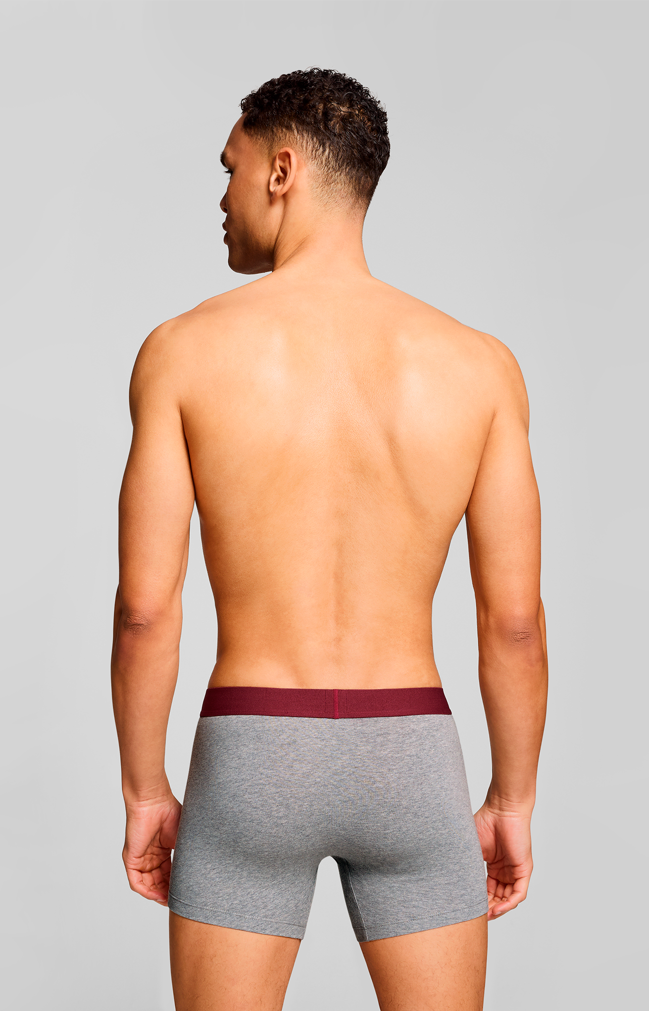 Levi's® Boxershorts »LEVIS MEN SLD BASC BOXER BRIEF ORG CO 2P«, (Packung, 2er Pack), mit breitem Logobund