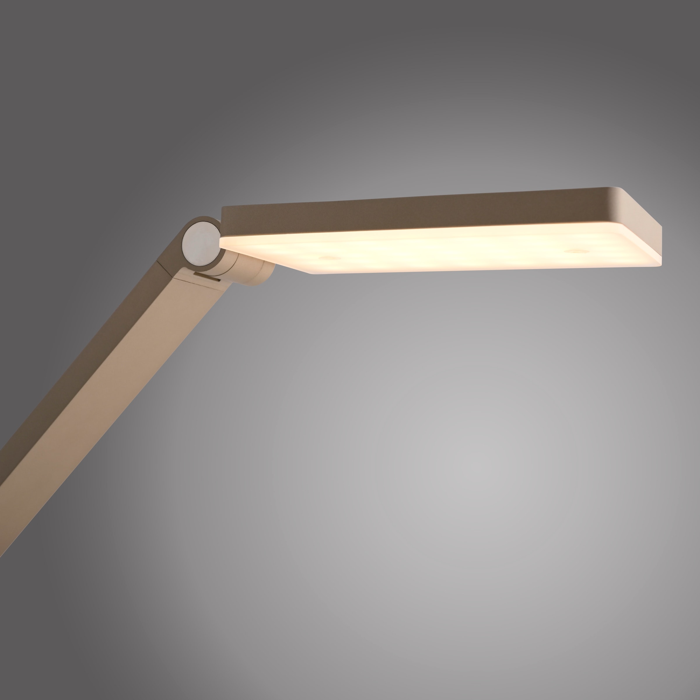 Paul Neuhaus LED Tischleuchte »SAMSKY« LED-Board 1 Stk. warmweiß - kaltweiß Touchdimmer, CCT 2700-5000K, Memoryfunktion, Höhenverstellbar