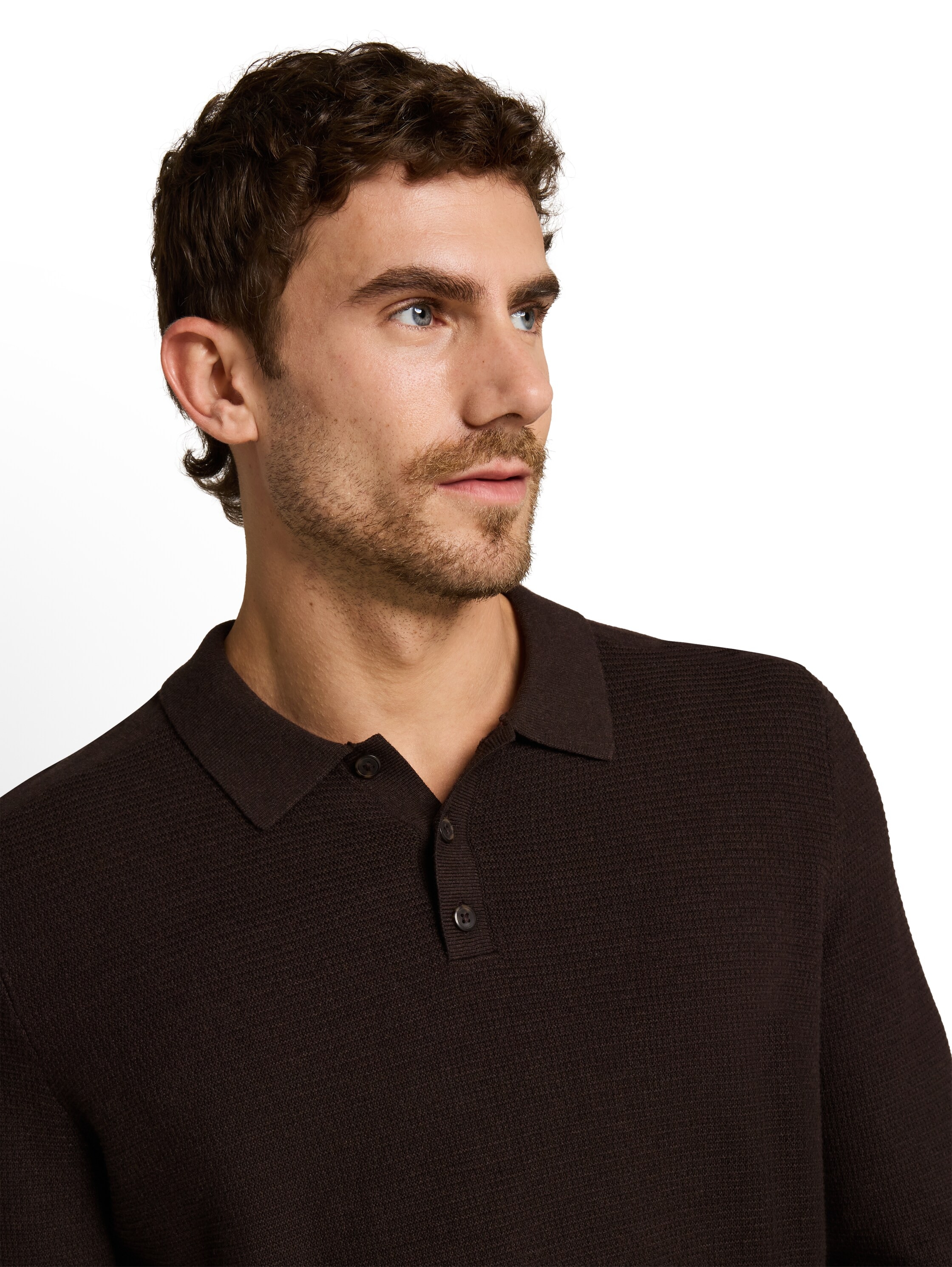 TOM TAILOR Polokragenpullover unifarben / Reine Baumwolle