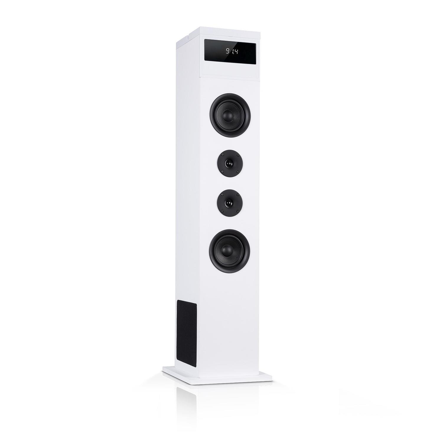 Auna Lautsprecher 120Wmax. BT/USB/MP3/UKW/AUX-In Ta »Karaboom«