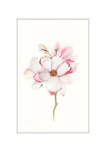 Komar Poster »Magnolia Blossom«, Blumen, Höhe: 40cm kaufen