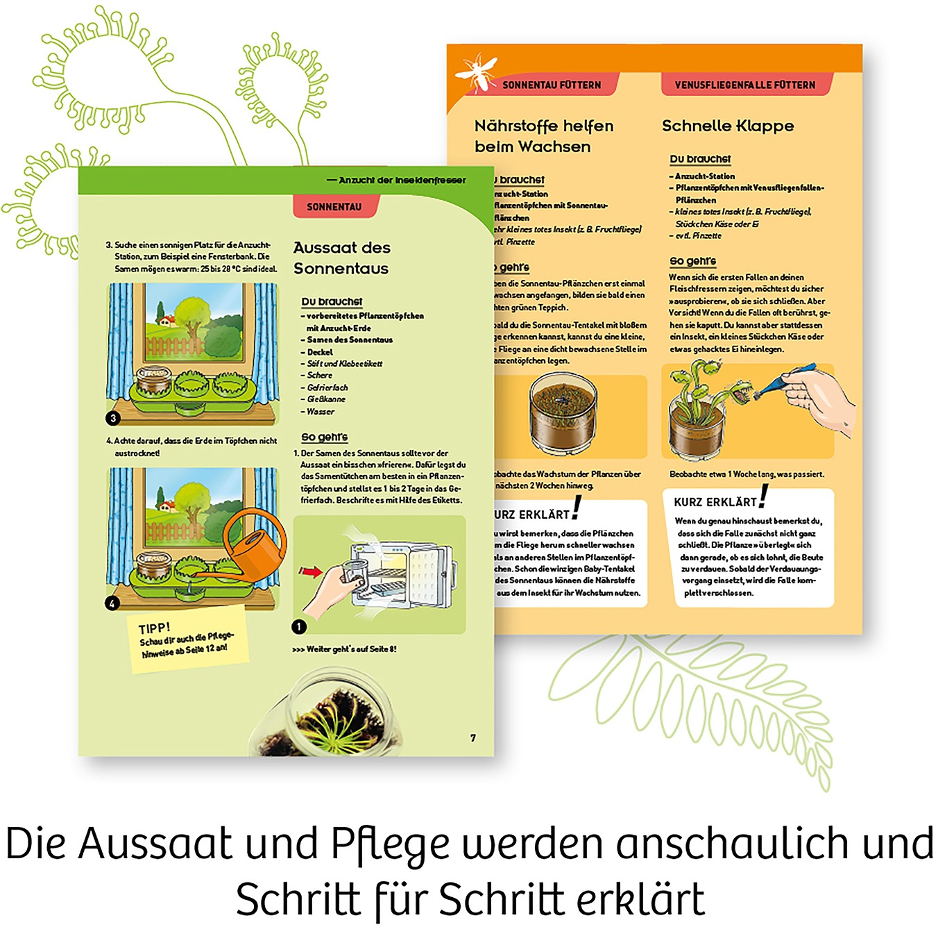 Kosmos Experimentierkasten »Fleischfressende Pflanzen«, Made in Germany