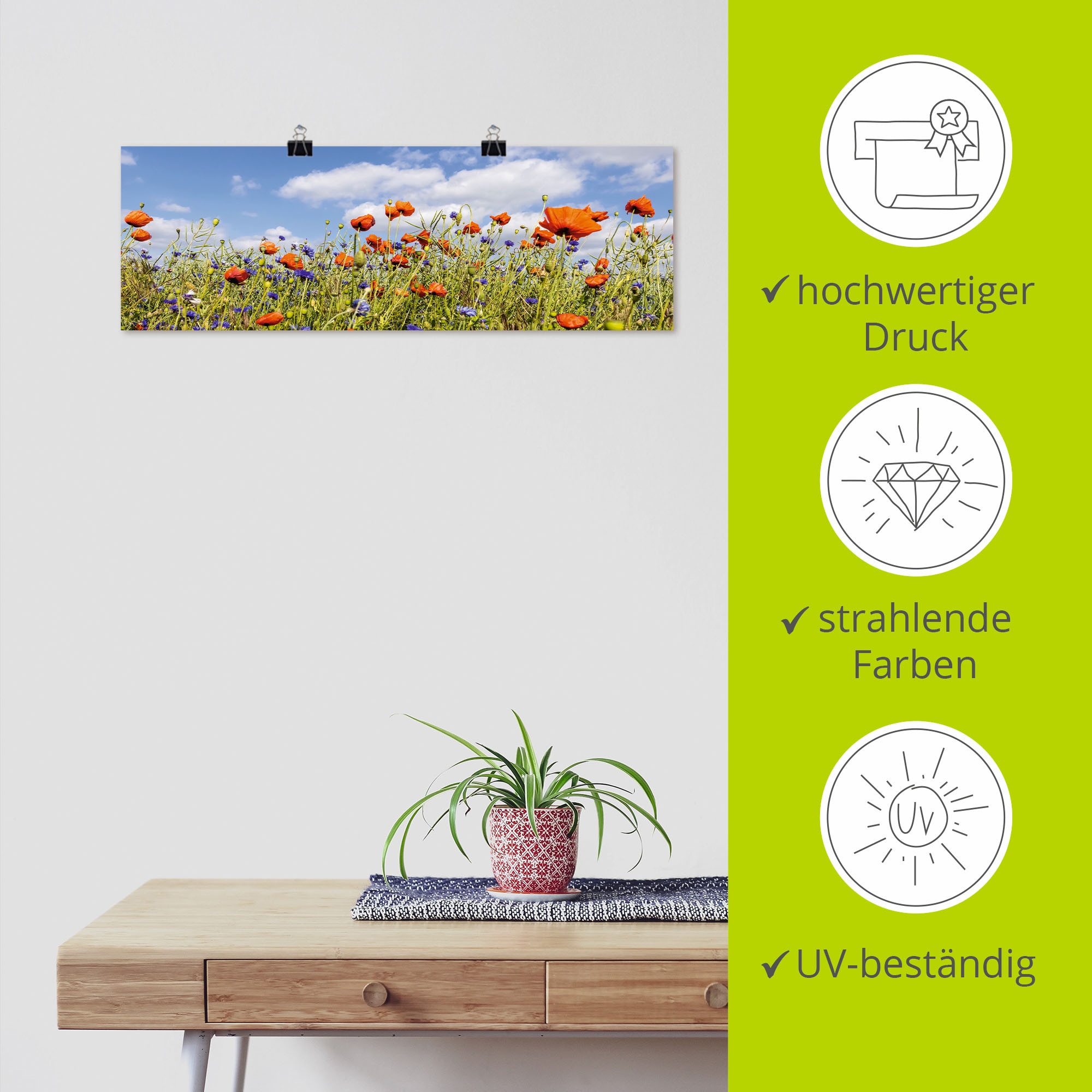 Blumenwiese, »Mohnblumenfeld mit Poster Alubild, online bestellen Wandbild versch. bei Kornblumen«, als oder Artland Leinwandbild, in St.), (1 Größen Wandaufkleber OTTO