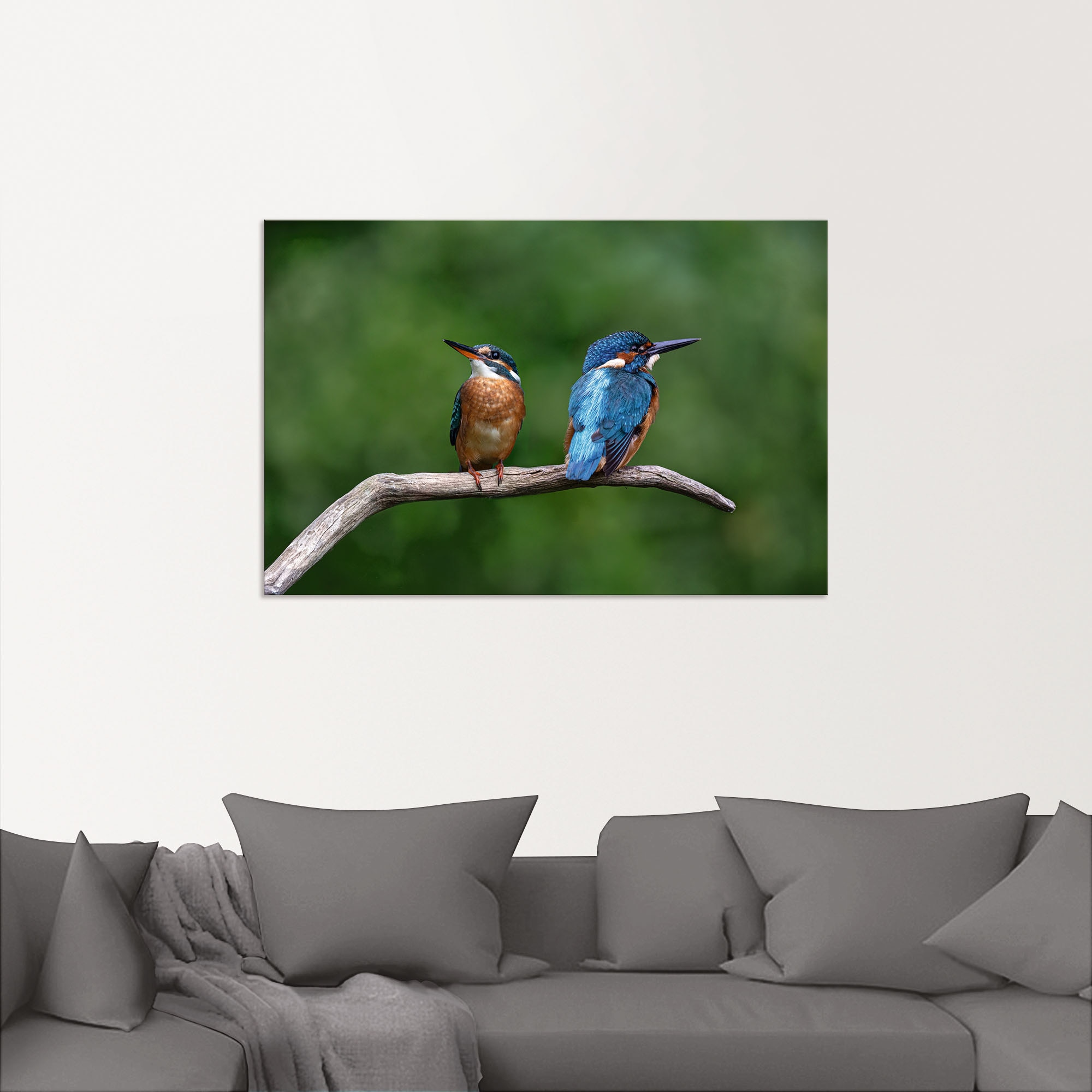 Artland Wandbild »Zwei Eisvogel«, Vogelbilder, (1 St.), als Alubild, Outdoorbild, Poster in verschied. Größen