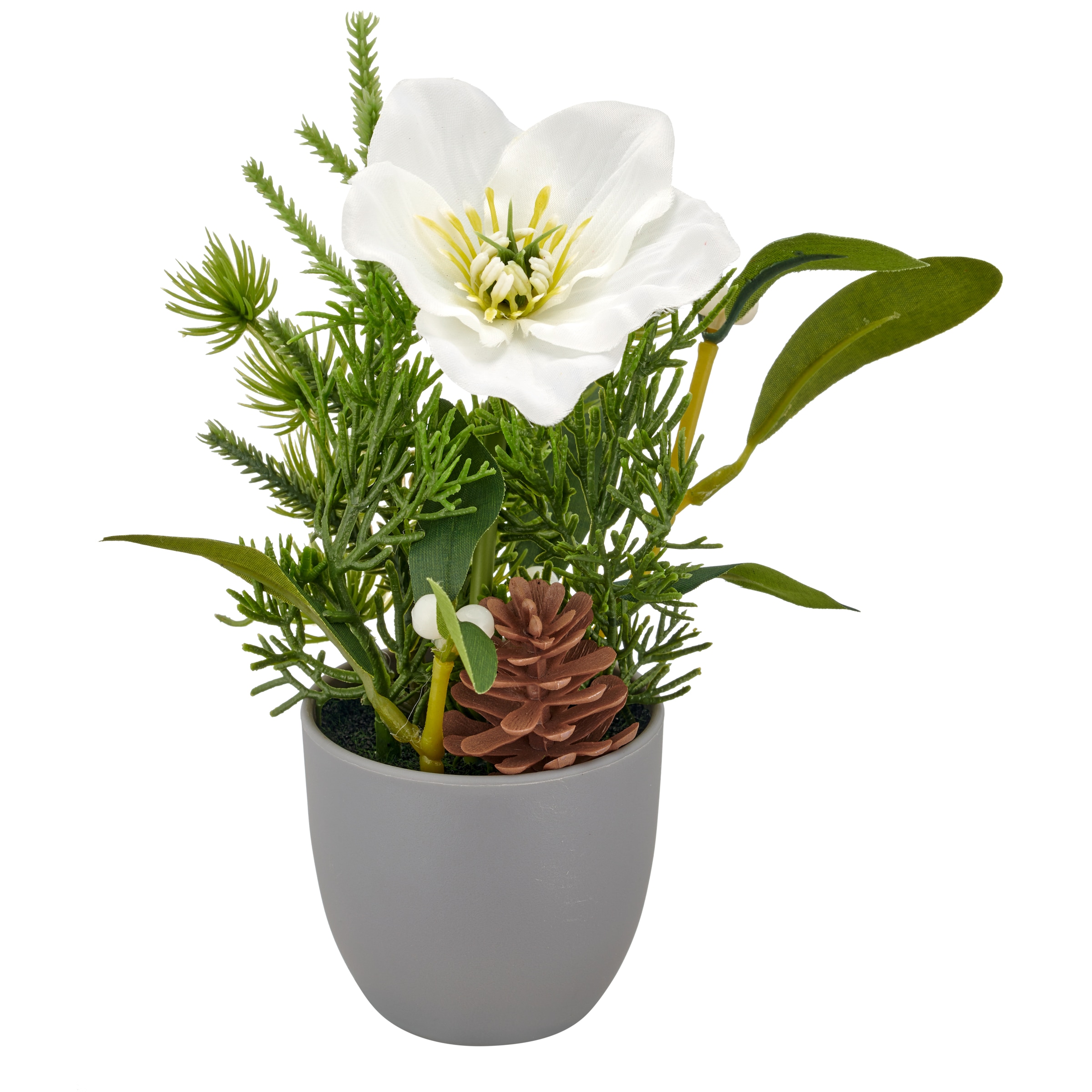 Creativ green Winterliche Kunstpflanze »Arrangement mit Christrose« mit Tannenzweigen und Zapfen