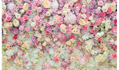Consalnet Fototapete »Blumen«, Motiv kaufen