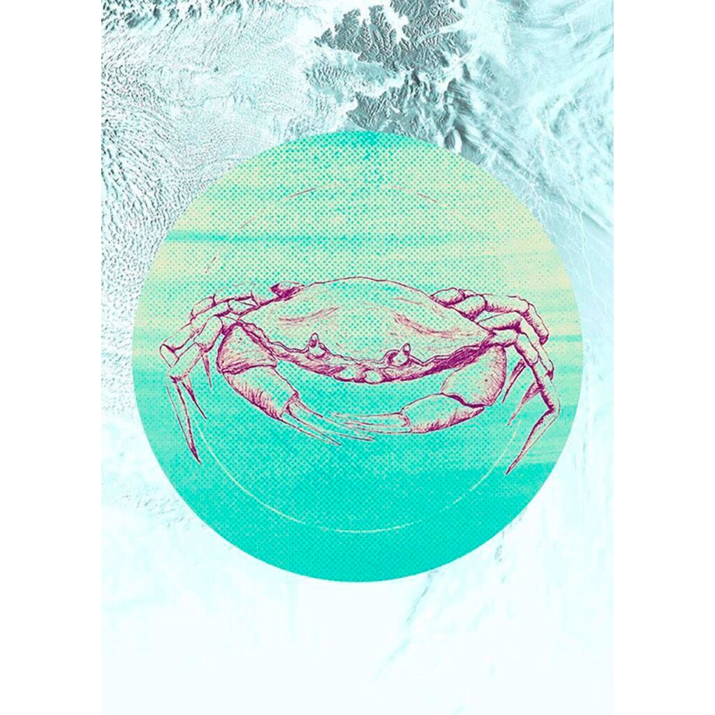 Komar Poster »Crab Sea«, Tiere, (1 St.)