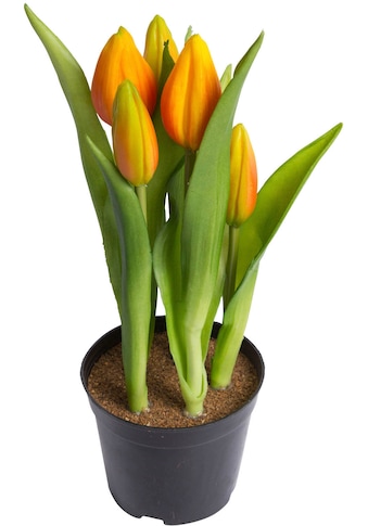 Kunstblume »Tulpenpflanze mit 5 Knospen«