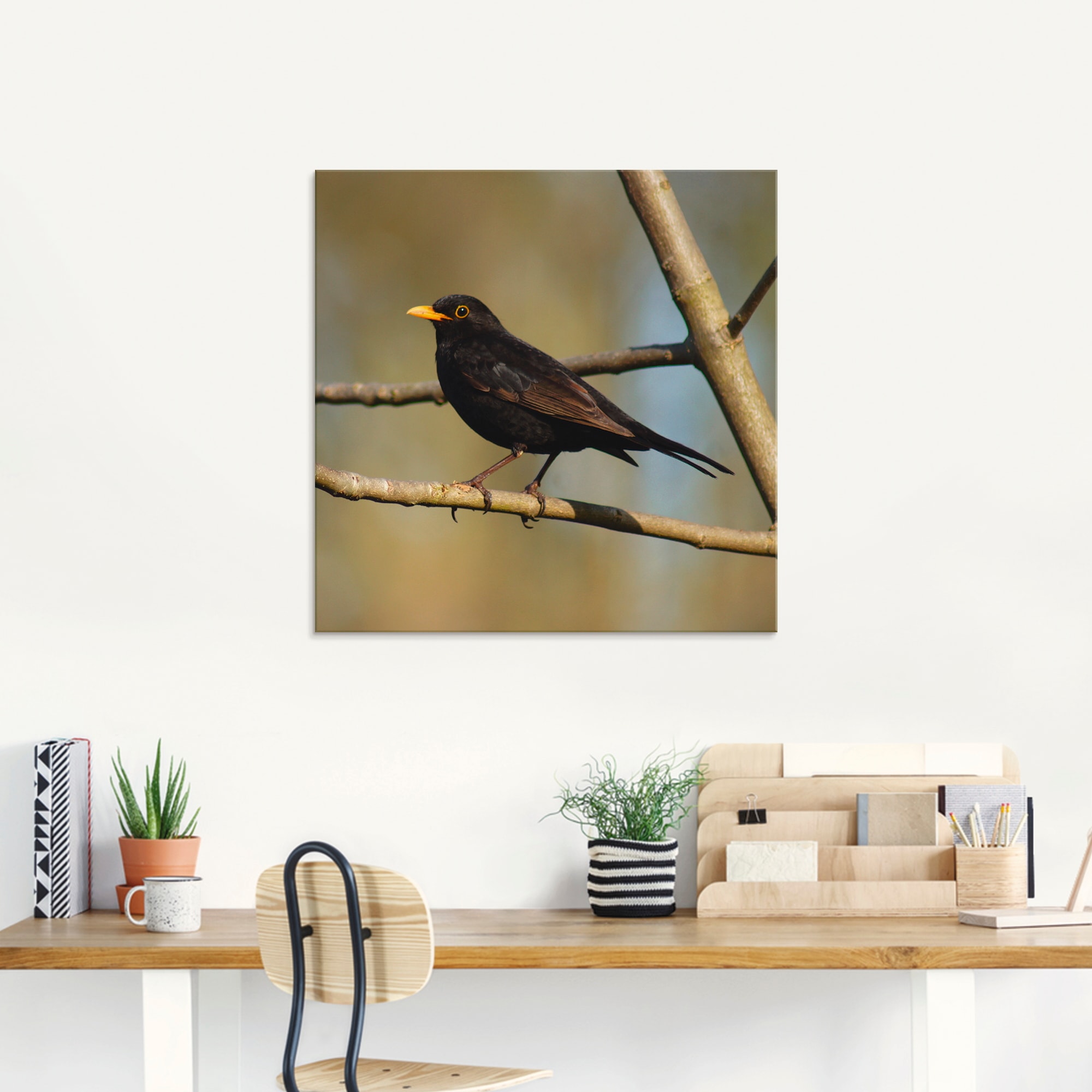 Artland Glasbild »Amsel«, Vögel, (1 St.), in verschiedenen Größen