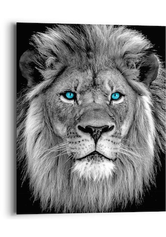 Reinders! Wandbild »Löwe mit blaue Augen« kaufen