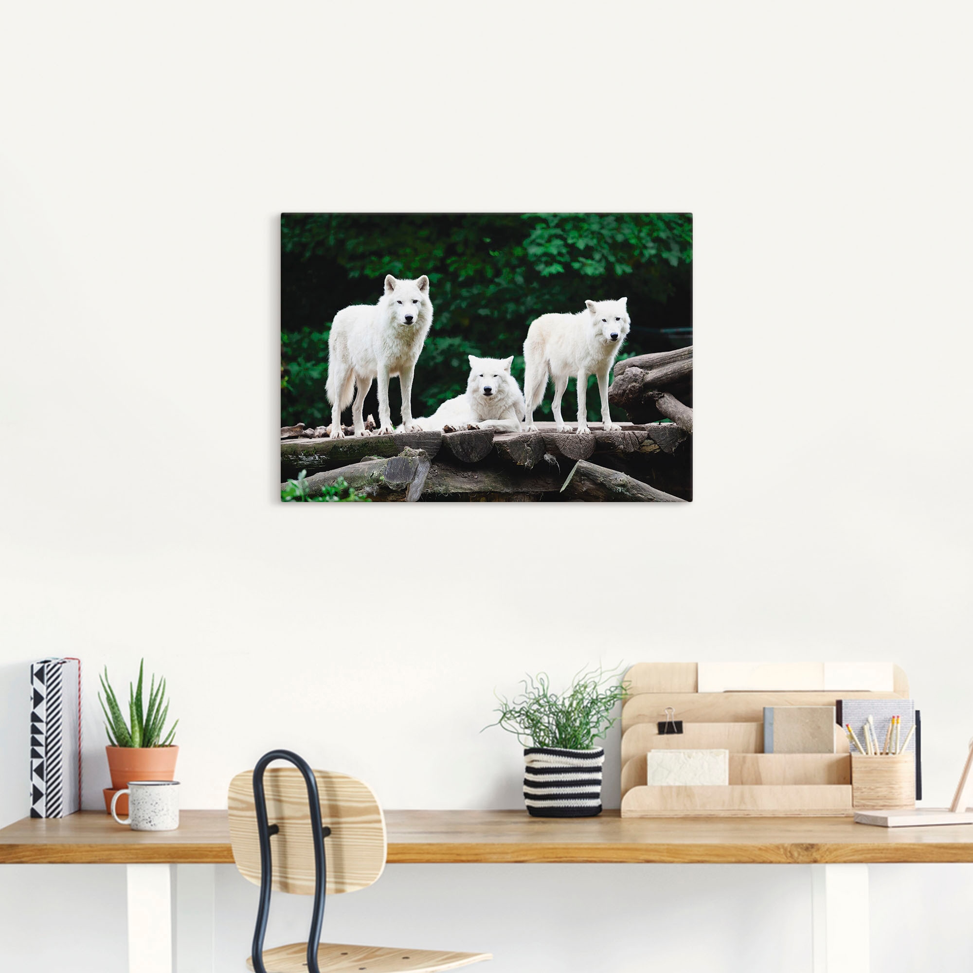 Artland Wandbild »Arktische Wölfe«, Wildtiere, (1 St.), als Leinwandbild, Poster in verschied. Größen