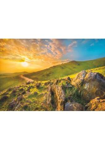 Komar Fototapete »Mountain Morning«, bedruckt-Wald-Meer, ausgezeichnet lichtbeständig kaufen