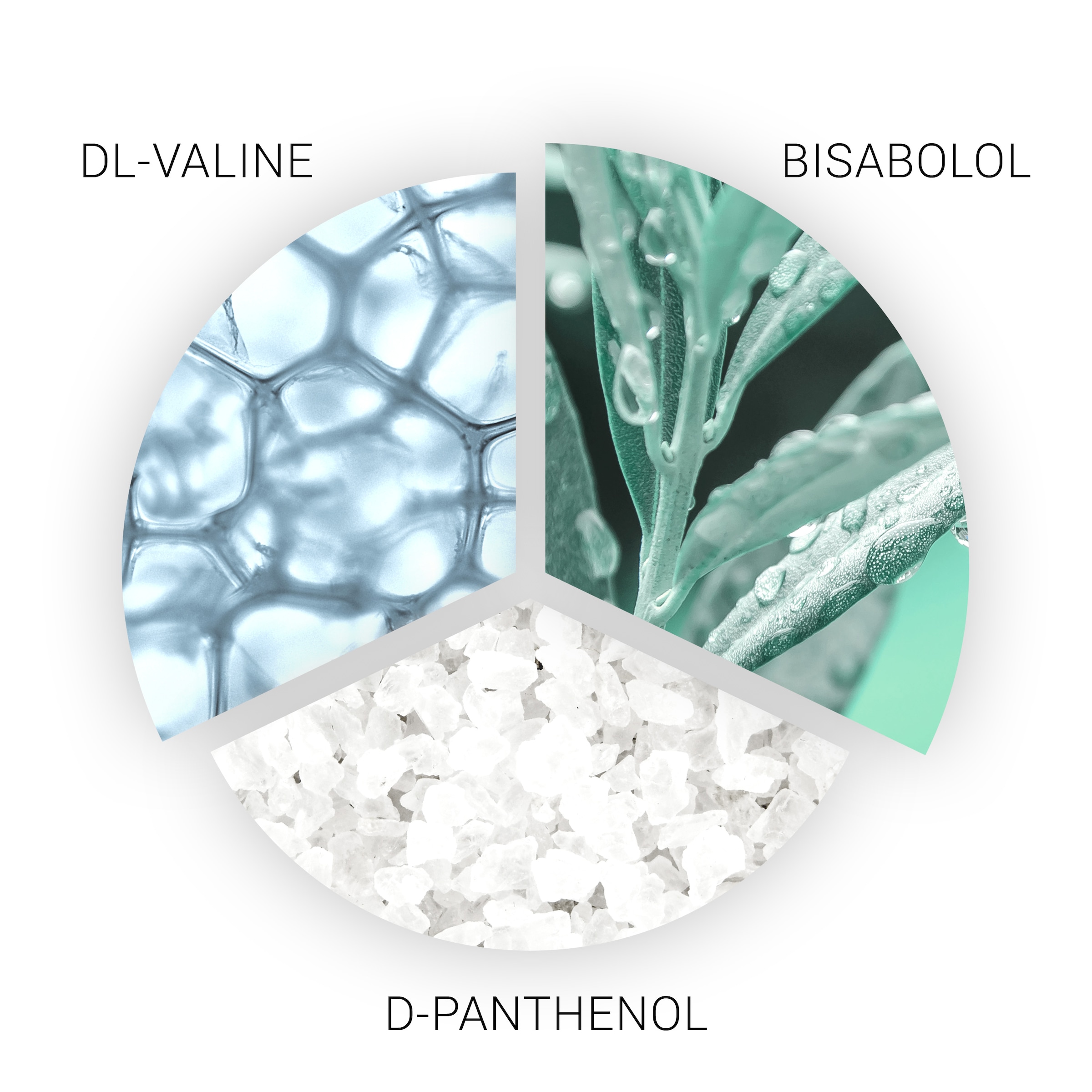 Wella SP Haarshampoo »Balance Scalp Shampoo« gegen Juckreiz, gegen Rötungen, sanfte Pflege