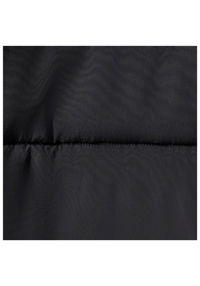 Jack Wolfskin Winterjacke »NORTHERN LITE JKT W«, ohne Kapuze